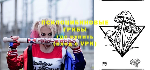 молекула духа Киреевск