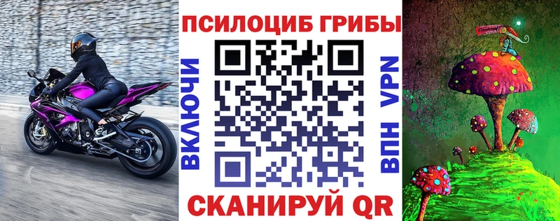 Купить  Киренск  Галлюциногенные грибы Psilocybe 